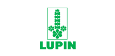 Lupin